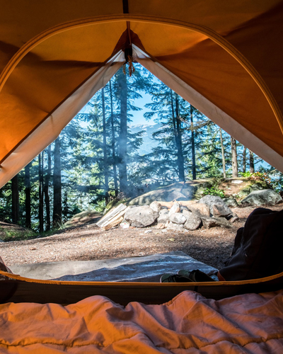 Looking at the forest through an open tent flap
